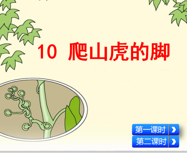 [课件]10 爬山虎的脚
