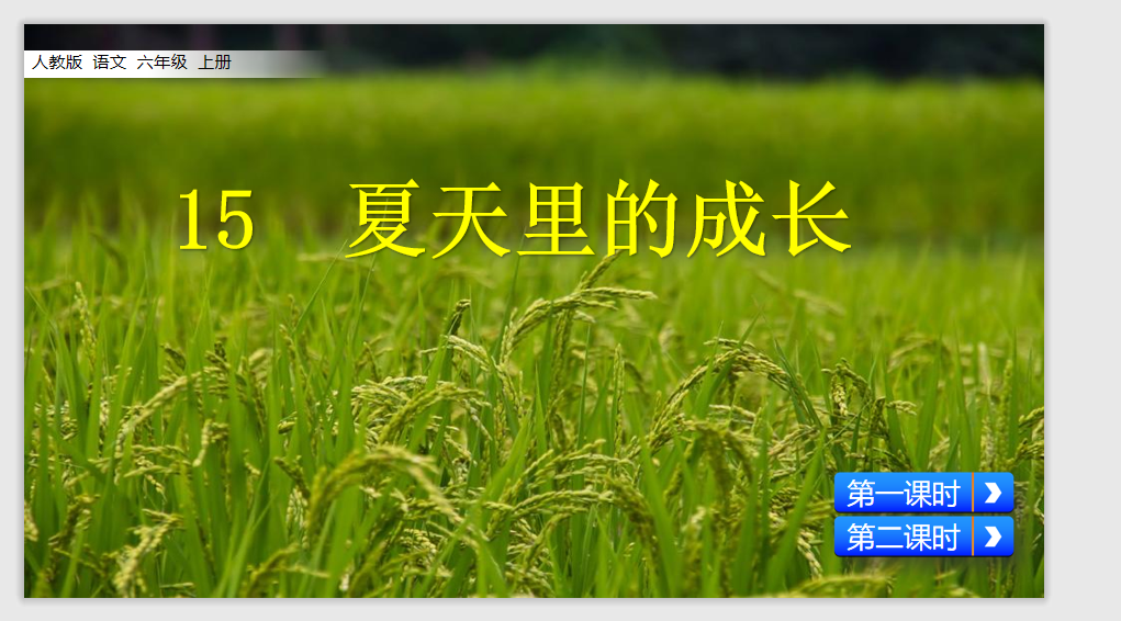 [课件]15 夏天里的成长