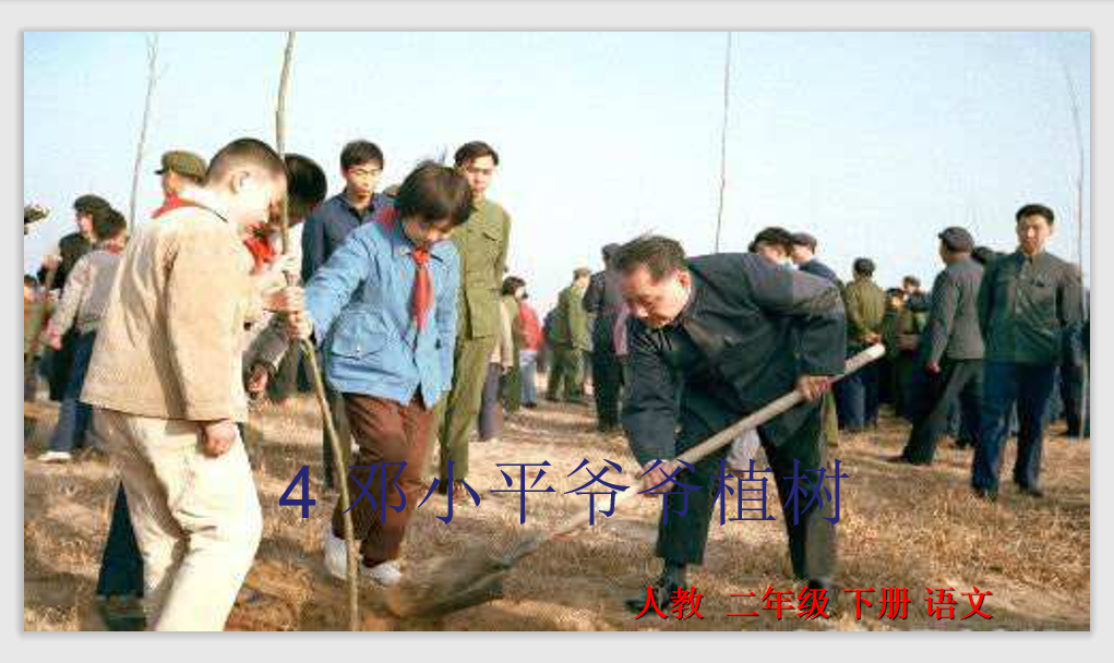 [课件]4.邓小平爷爷植树