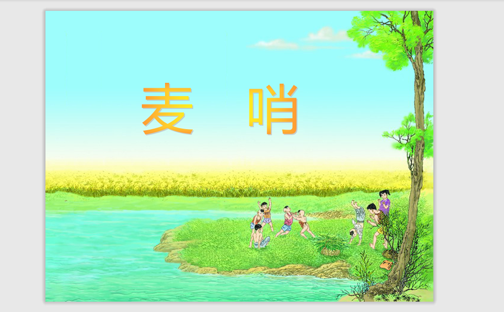 [课件]24 麦哨